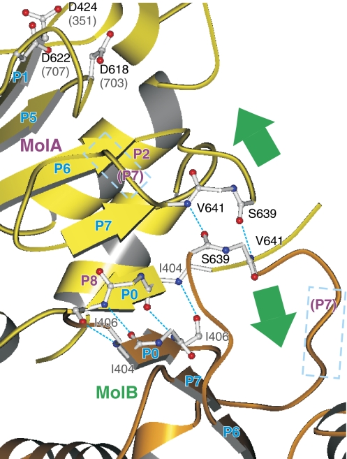 Figure 5