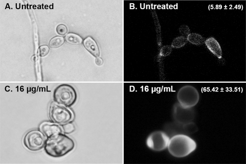 FIG. 3.