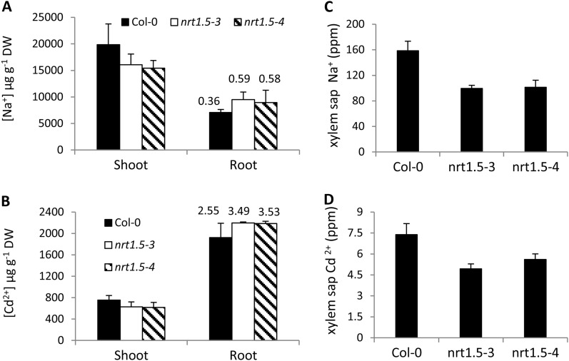 Figure 4.