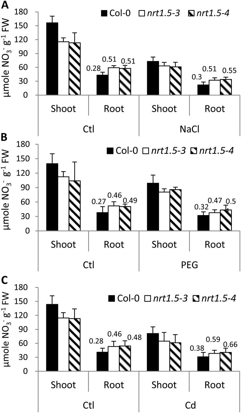 Figure 3.