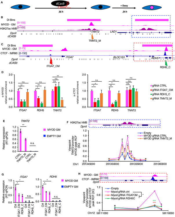 Figure 6: