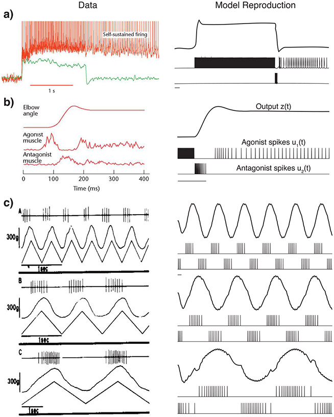 Figure 4: