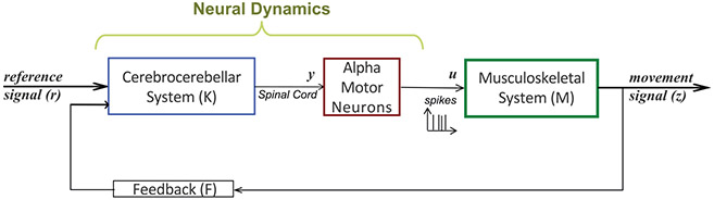 Figure 2: