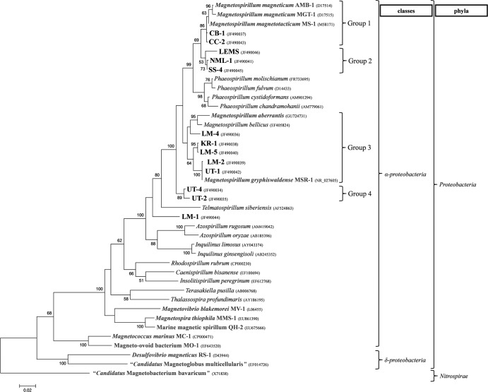 Fig 3