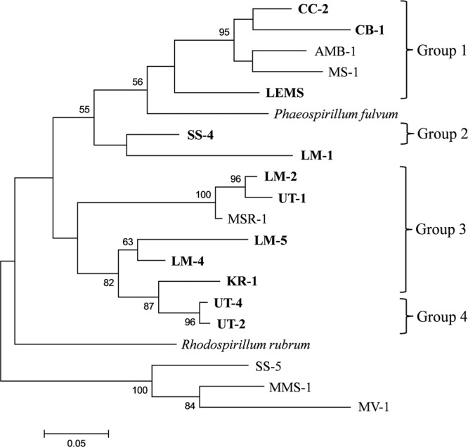 Fig 5