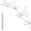 Fig 2