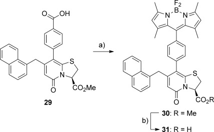 Scheme 5