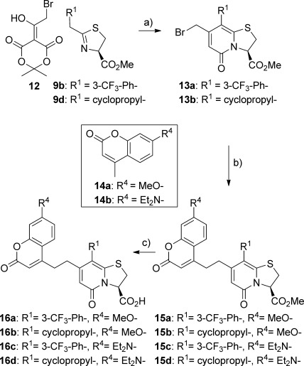 Scheme 2