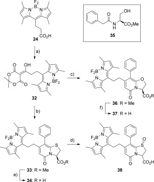 Scheme 6