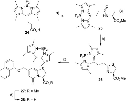 Scheme 4