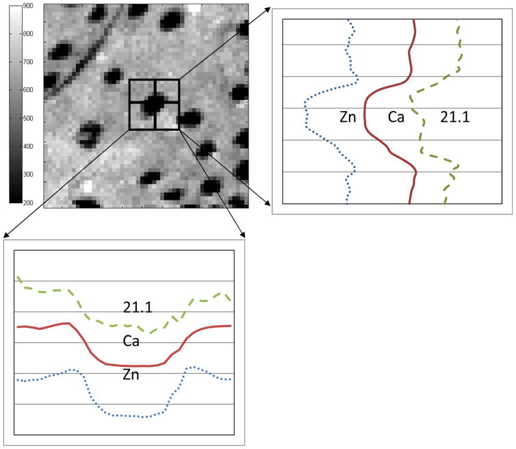 Fig 4