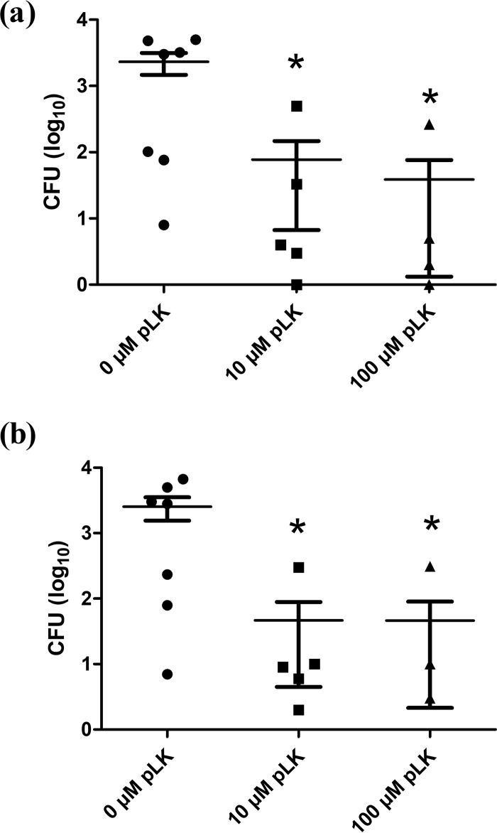 FIG 4