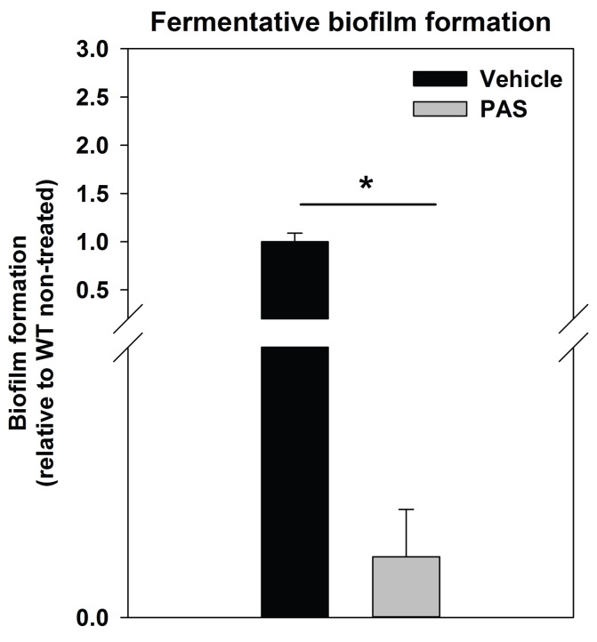 Figure 2—figure supplement 2.