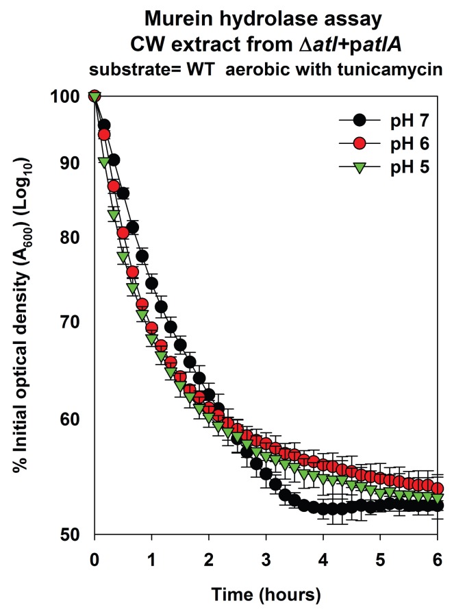 Figure 4—figure supplement 2.