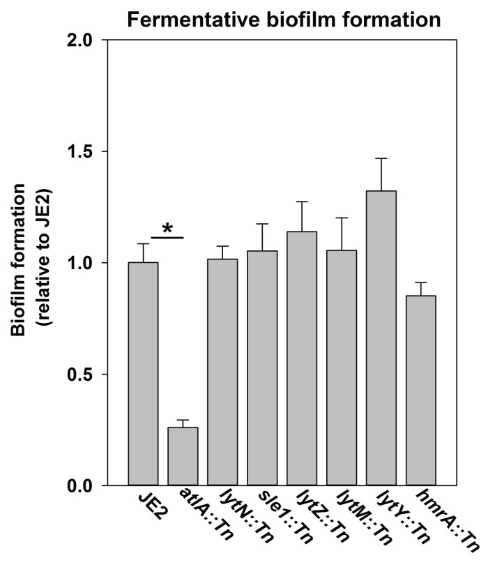 Figure 2—figure supplement 3.