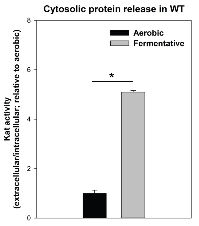 Figure 2—figure supplement 4.