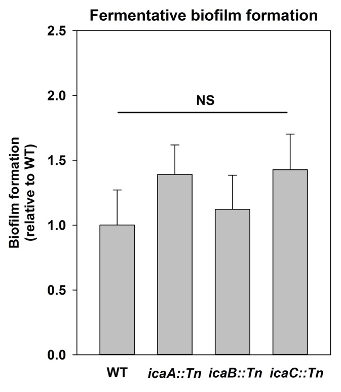 Figure 2—figure supplement 1.