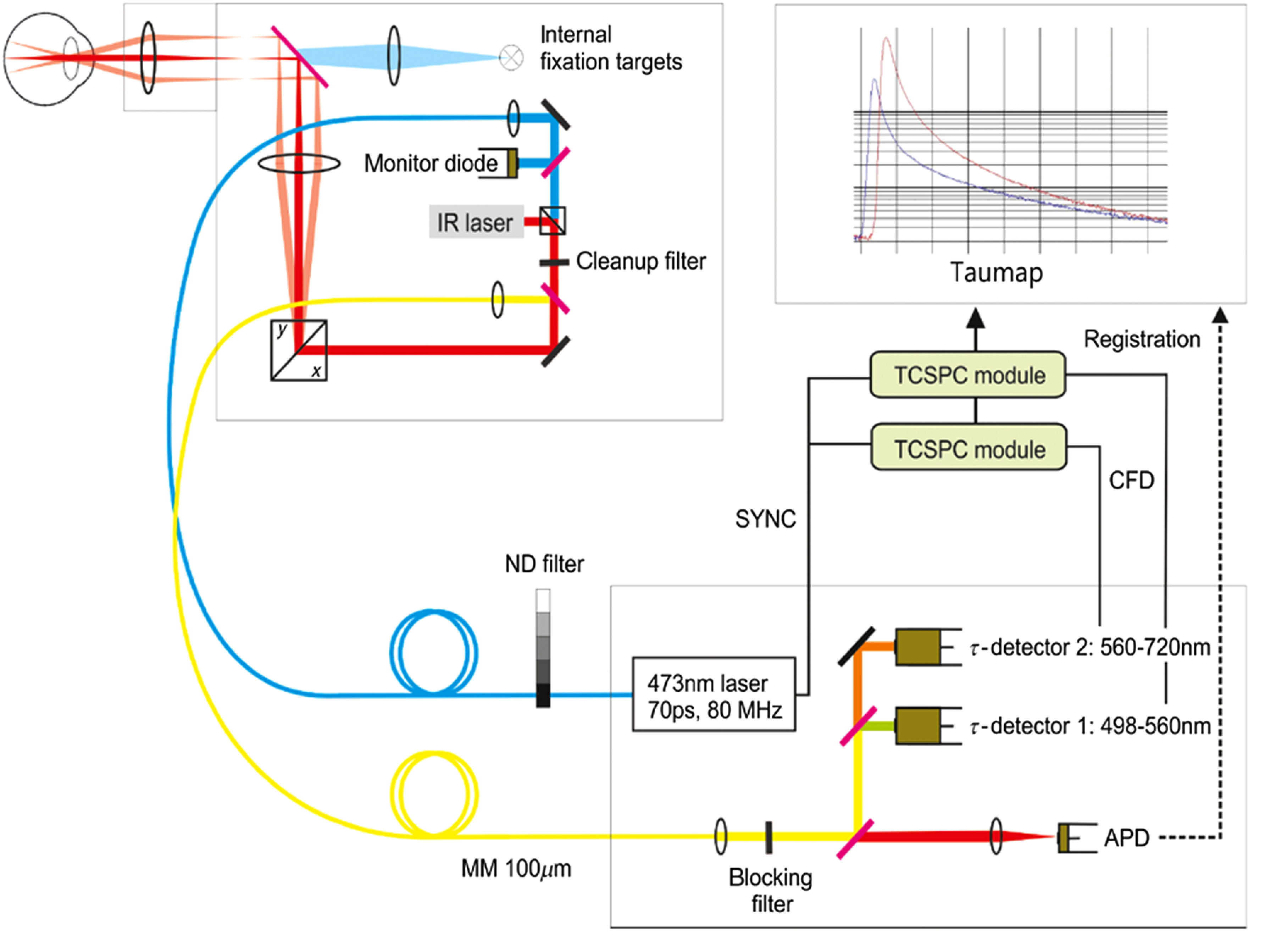 Fig. 3