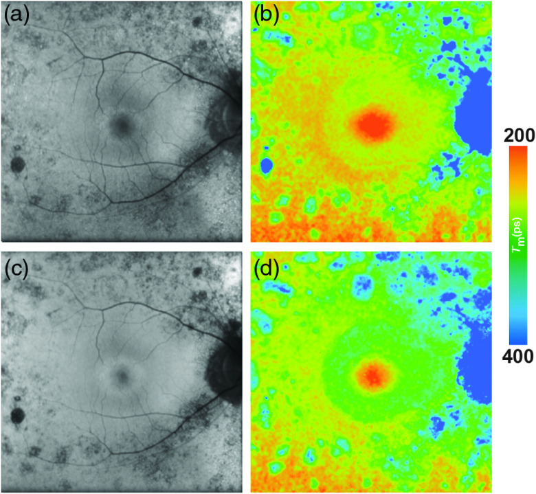 Fig. 13