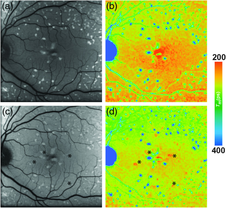 Fig. 10