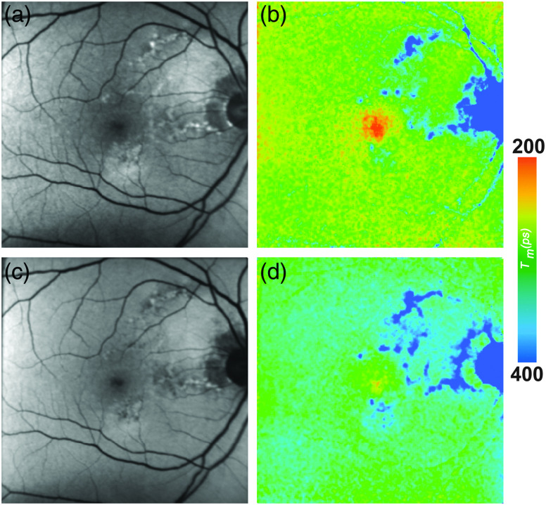 Fig. 9