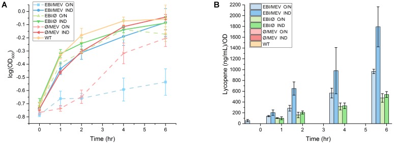 FIGURE 4