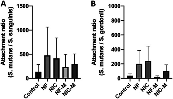 FIG 6