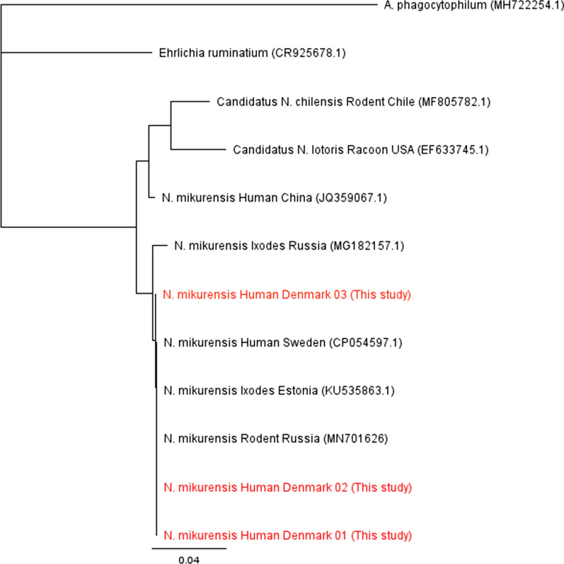 Fig. 2