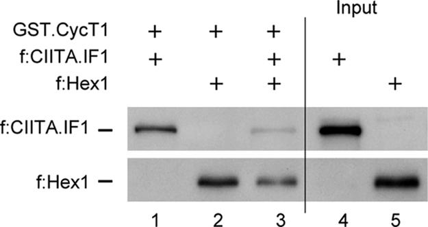 Fig. 3.