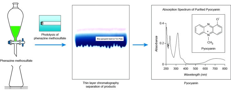 graphic file with name fx1.jpg