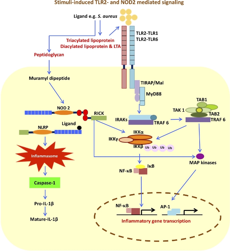 Figure 2.