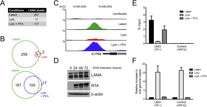 FIG 7