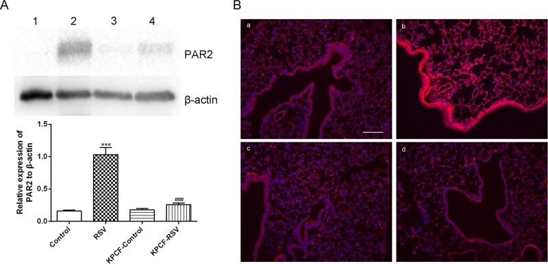 FIG 6