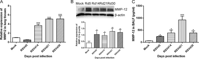 FIG 2