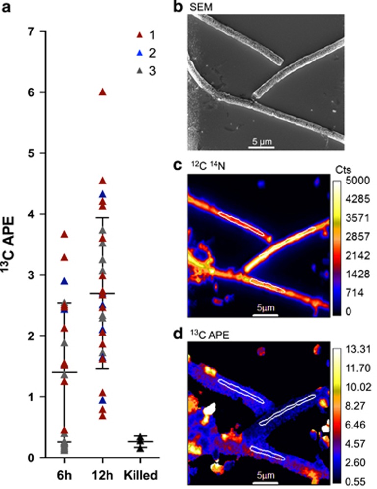 Figure 6