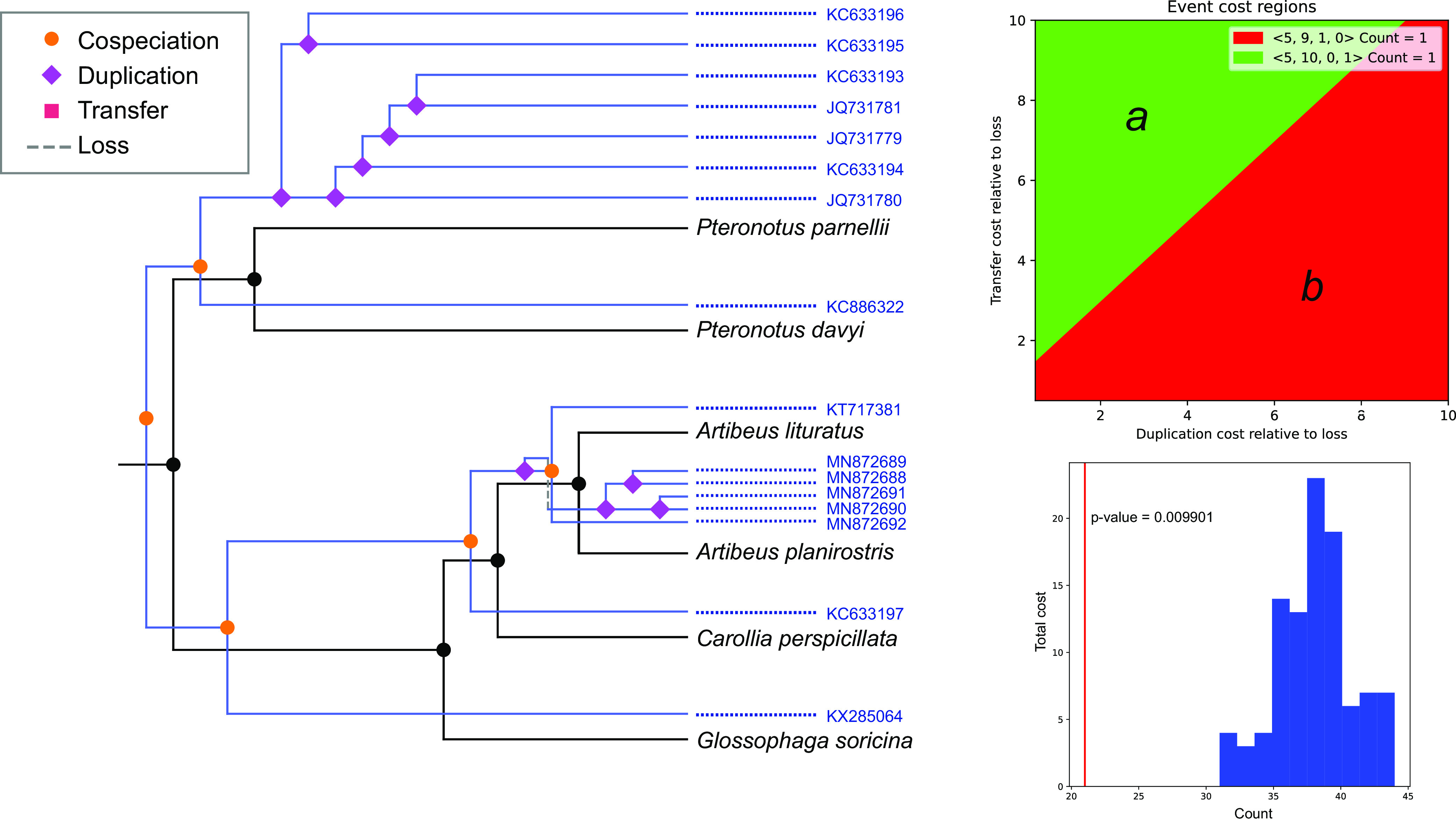 FIG 6