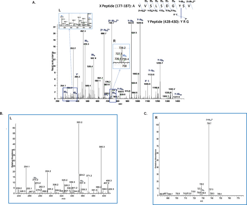 Fig. 3