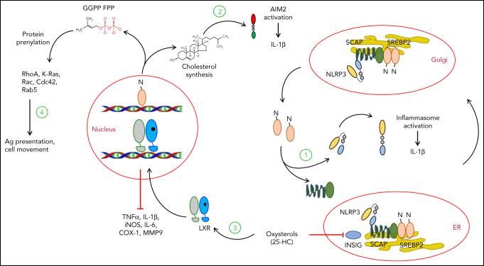 Figure 4.