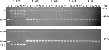 FIGURE 7.