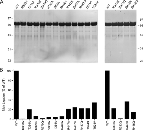 FIGURE 4.