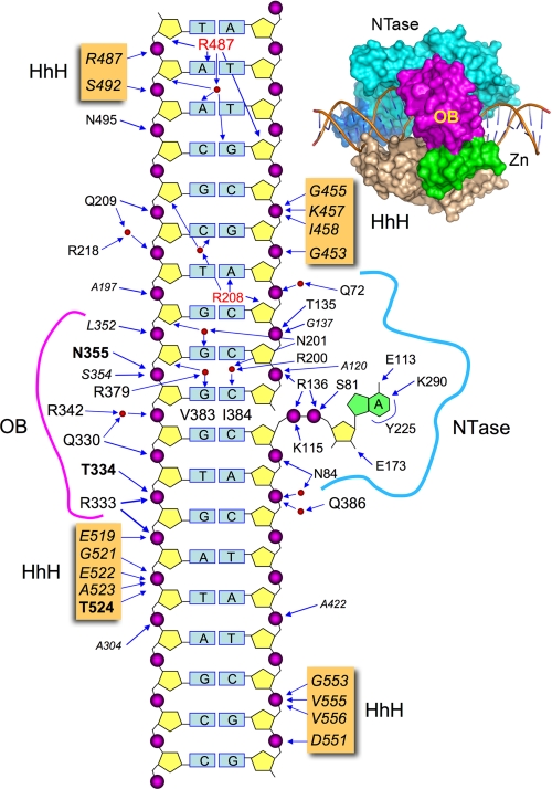 FIGURE 1.