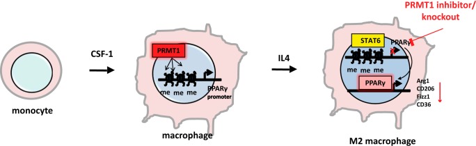 Figure 7.