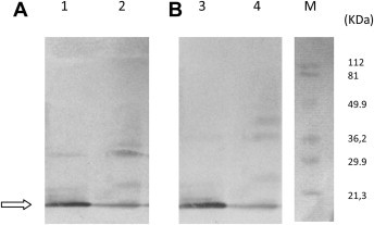 Fig. 3