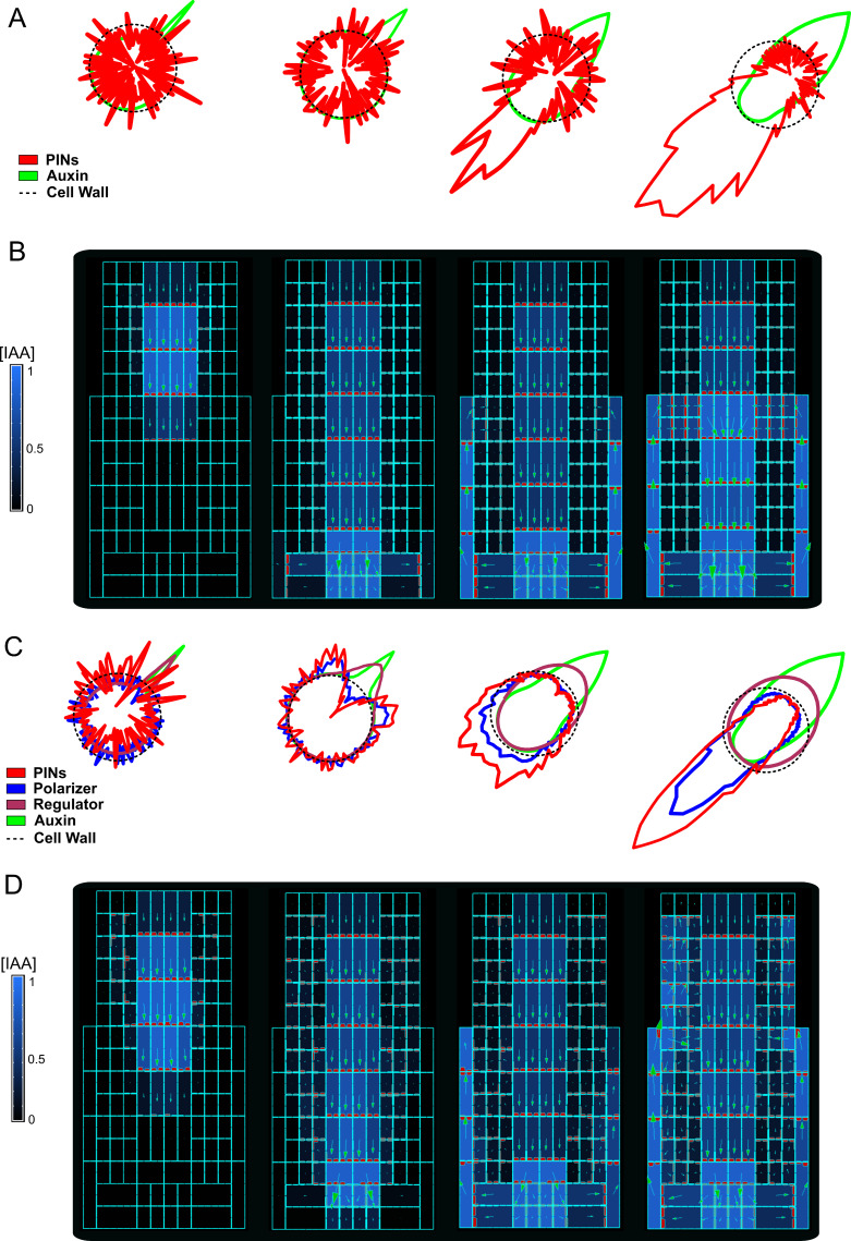 Figure 2—figure supplement 1.