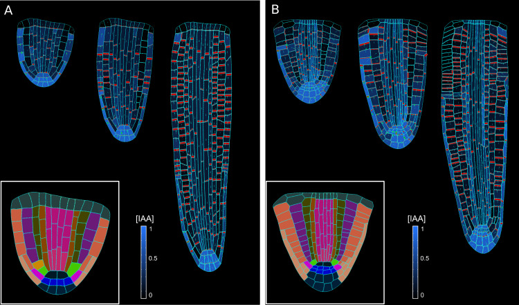 Figure 5—figure supplement 2.