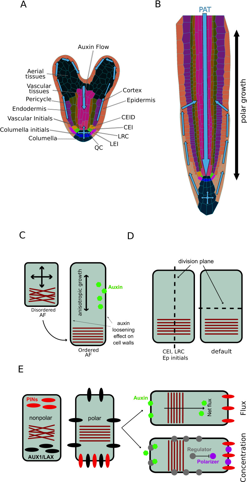 Figure 2—figure supplement 2.