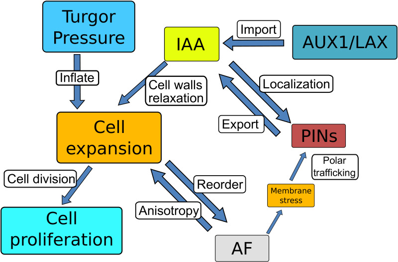 Figure 2—figure supplement 3.