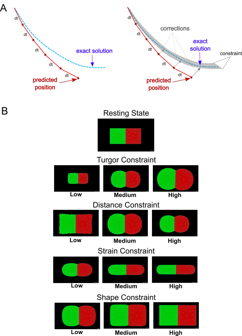 Figure 1—figure supplement 2.