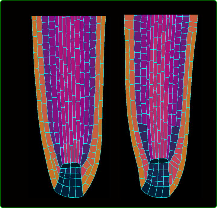 Figure 2—figure supplement 6.