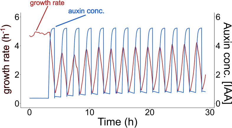 Figure 4—figure supplement 1.